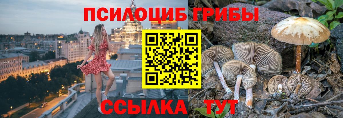Псилоцибиновые грибы MAGIC MUSHROOMS Бор
